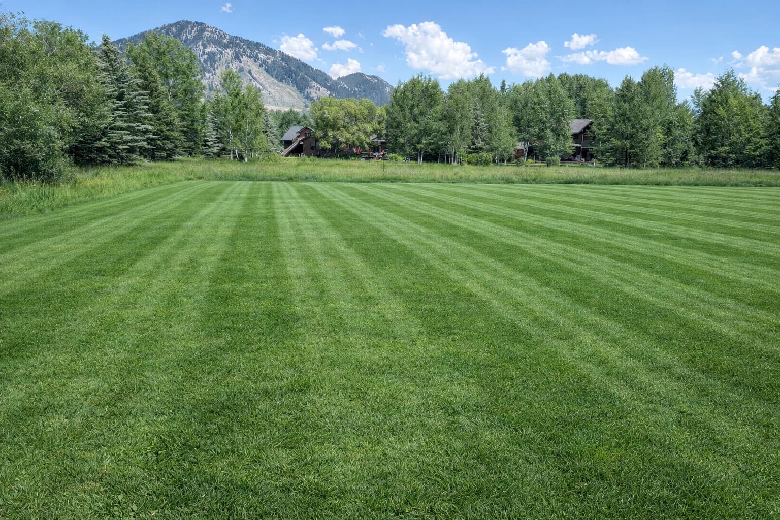 Fertilization in Jackson Hole, WY