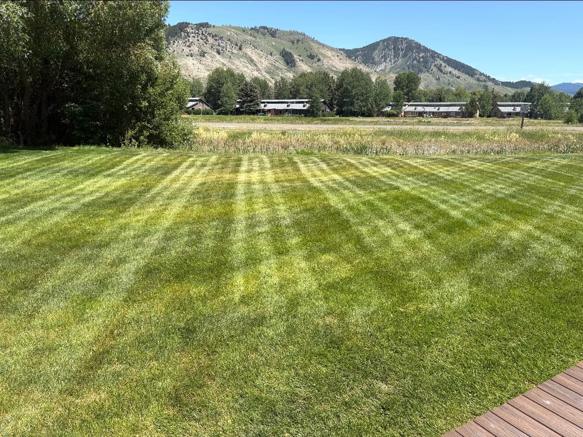Does Your Landscape Actually Need Fertilization in Jackson, WY?